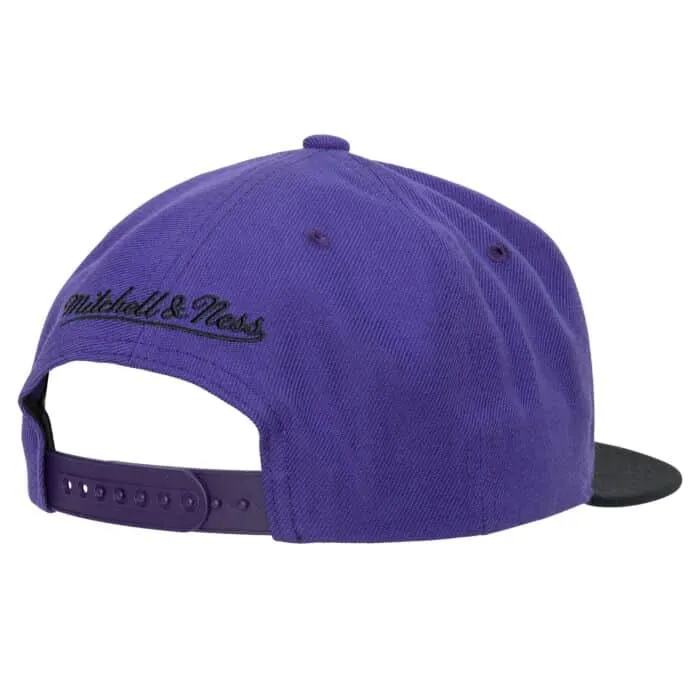 Mitchell & Ness Team 2 Tone 2.0 Snapback Sacramento Kings