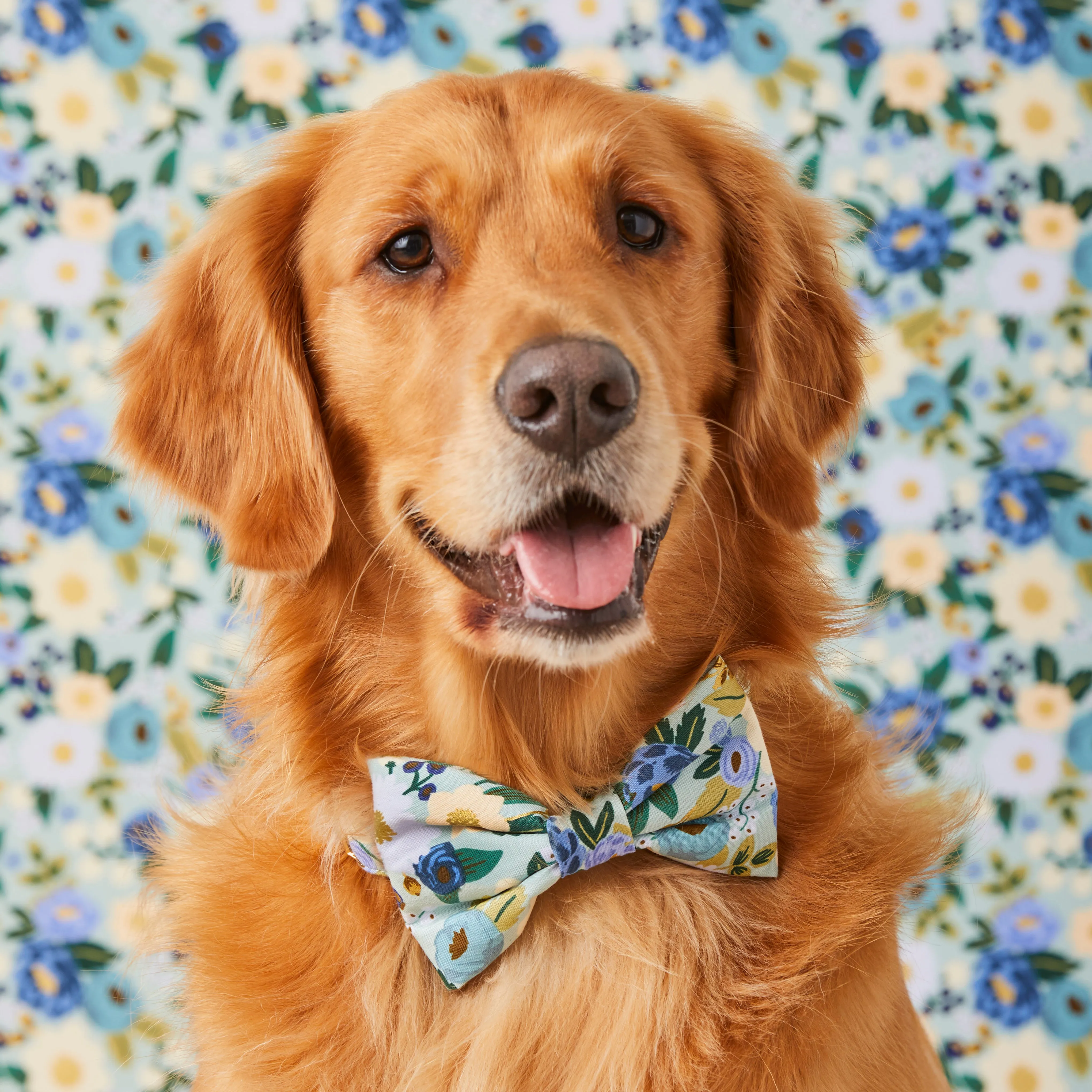 Rifle Paper Co. x TFD Vintage Blossom Bow Tie Collar