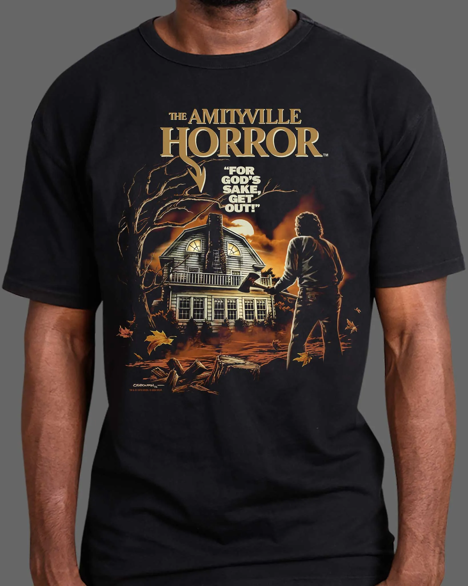 The Amityville Horror